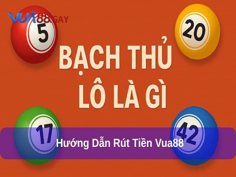 Bạch Thủ Lô Là Gì? Tìm Hiểu Chi Tiết Để Chọn Số Hiệu Quả