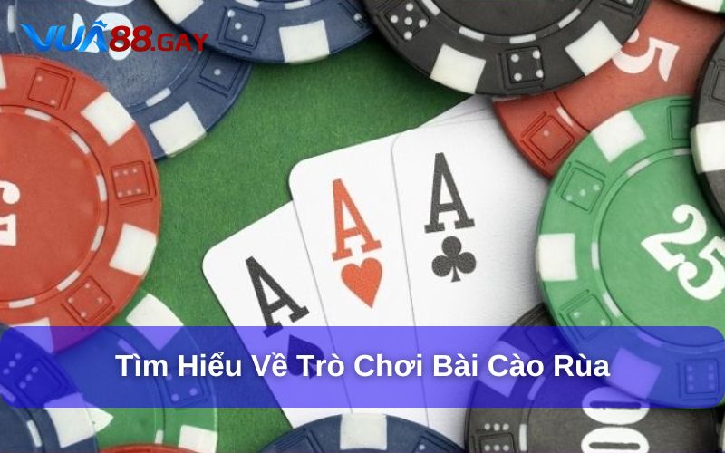 Tìm hiểu về bài cào rùa