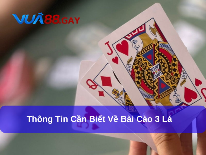 Tổng quan về bài cào 3 cây cho hội viên tham khảo