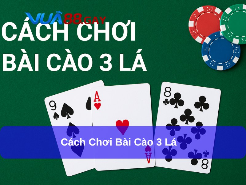 Bật Mí Cách Chơi Bài Cào 3 Lá Chuẩn Xác, Đúng Kỹ Thuật