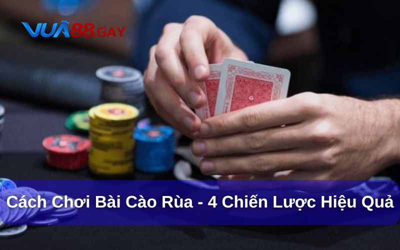 Cách Chơi Bài Cào Rùa - 4 Chiến Lược Hiệu Quả