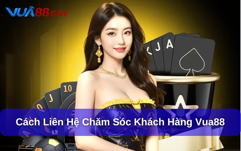 Cách liên hệ chăm sóc khách hàng Vua88