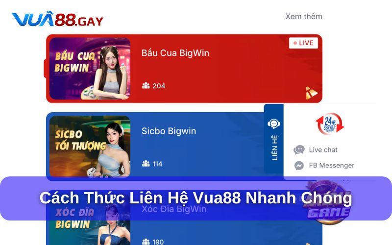 Cách thức liên hệ Vua88
