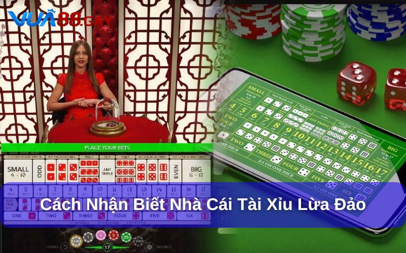 Cách nhận biết nhà cái tài xỉu lừa đảo