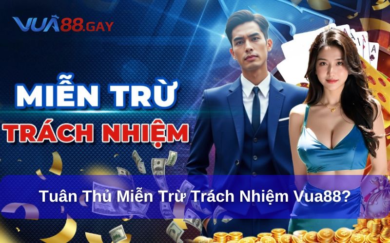 Cần tuân thủ những chính sách miễn trừ trách nhiệm Vua88