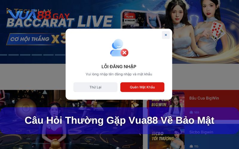 Câu hỏi thường gặp Vua88 về vấn đề bảo mật