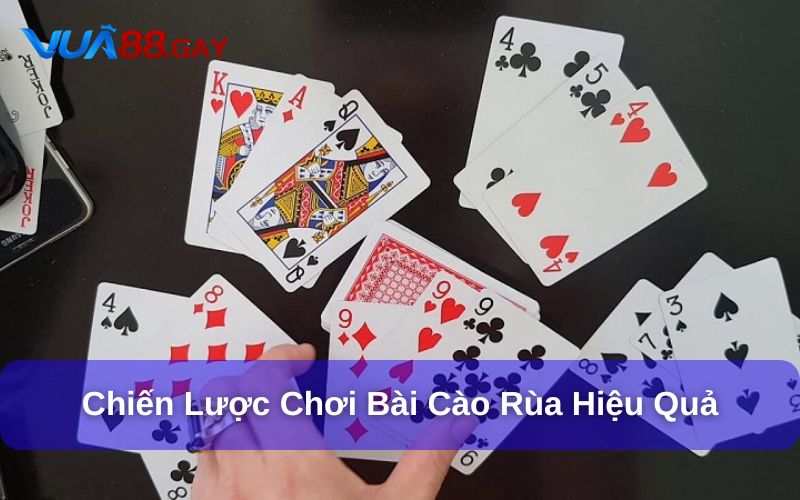 Chiến lược chơi bài cào rùa hiệu quả