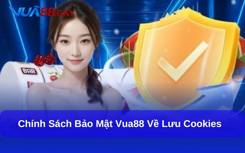 Chính sách bảo mật Vua88 về lưu cookies