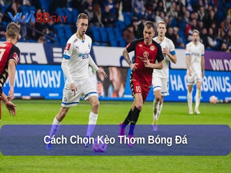 Kèo Thơm Bóng Đá Là Gì? Hướng Dẫn Chọn Kèo Thơm Chuẩn Xác 3 Chọn kèo thơm bóng đá tại nhà cái uy tín