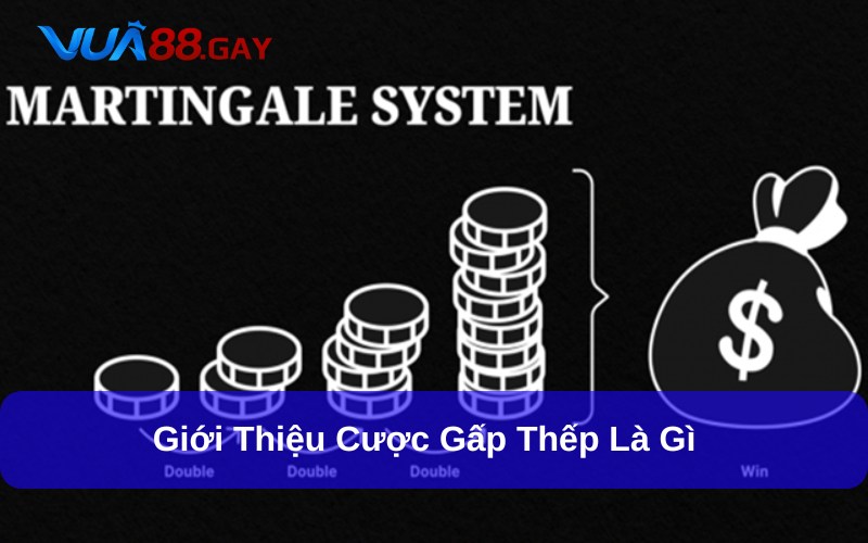 Giải đáp khái niệm cược gấp thếp là gì