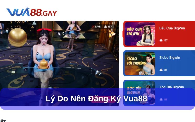 Đăng ký Vua88 thỏa sức chơi game