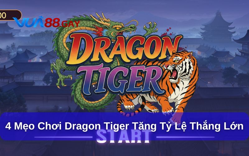 Top 4 Mẹo Chơi Dragon Tiger Giúp Bạn Tăng Tỷ Lệ Thắng Lớn