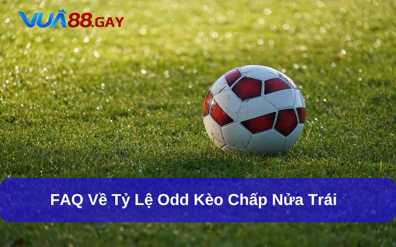 Tỷ lệ Odd kèo chấp nửa trái không cố định