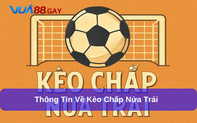 Kèo Chấp Nửa Trái - Khái Niệm, Cách Đọc Và Ví Dụ Thực Tế