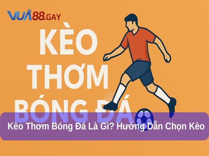 Kèo Thơm Bóng Đá Là Gì? Hướng Dẫn Chọn Kèo Thơm Chuẩn Xác 1 Kèo Thơm Bóng Đá Là Gì? Hướng Dẫn Chọn Kèo Thơm Chuẩn Xác
