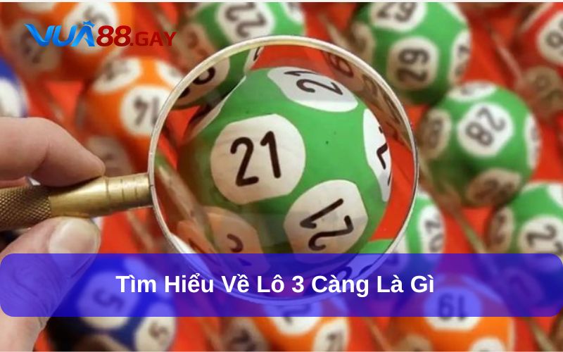 Lô 3 càng là gì