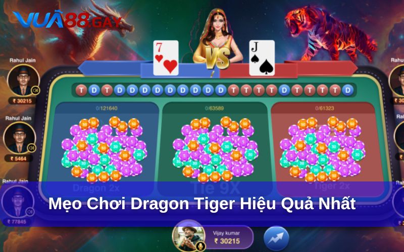 Mẹo chơi Dragon Tiger hiệu quả hơn