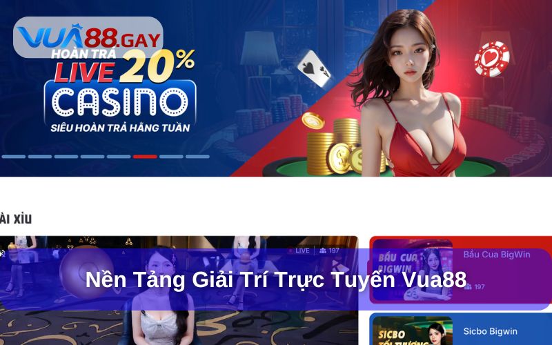 Vua88 là nền tảng cá cược trực tuyến uy tín
