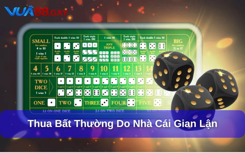 Người chơi thua cược bất thường có thể do nhà cái lừa đảo