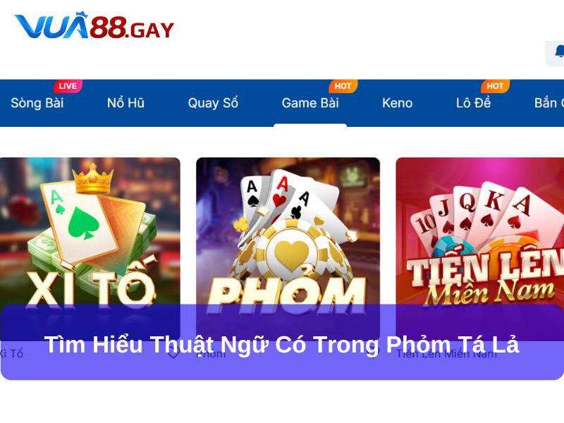 Tìm hiểu thuật ngữ có trong Phỏm Tá Lả