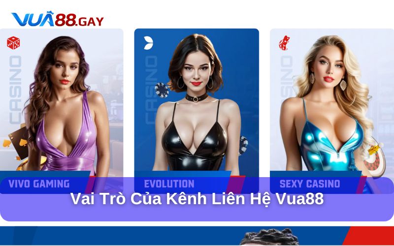 Vai trò của kênh hỗ trợ Vua88