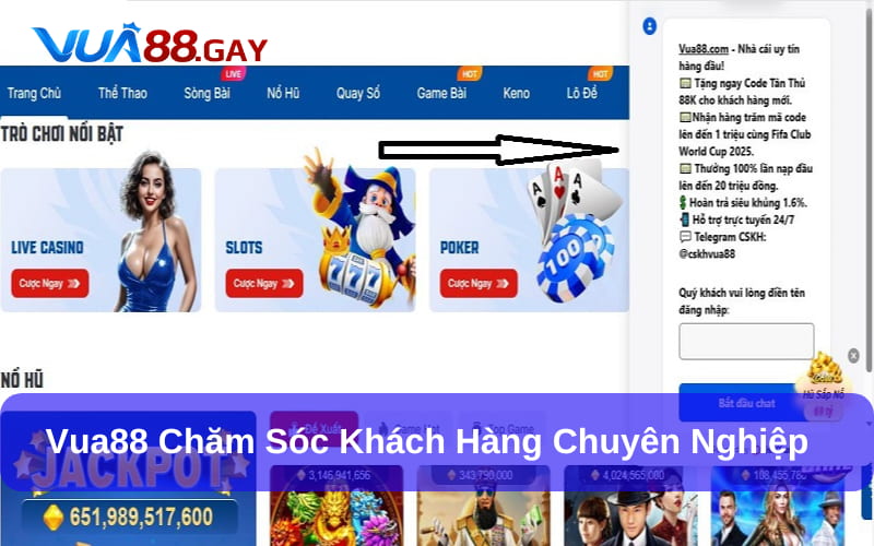 Chăm sóc khách hàng Vua88 chuyên nghiệp