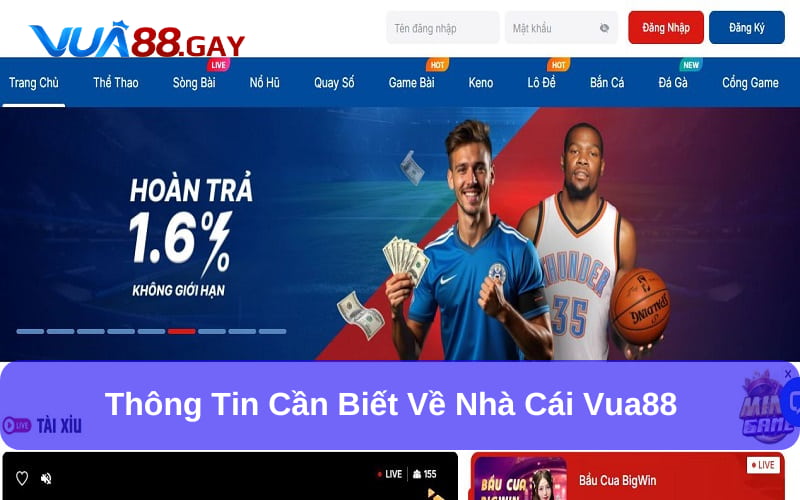 Giới thiệu nhà cái Vua88